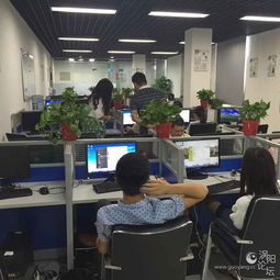 携手德祐，共拓商务信息咨询新征程——全面诚聘公告