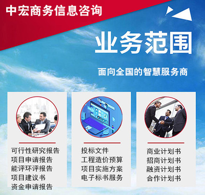 绥化代写项目申请报告写作指导及商务信息咨询服务要点
