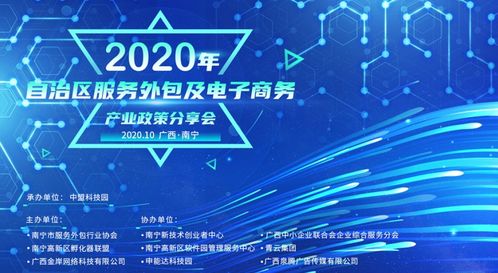 2020年自治区服务外包及电子商务产业政策分享会圆满召开，深化商务信息咨询服务新路径